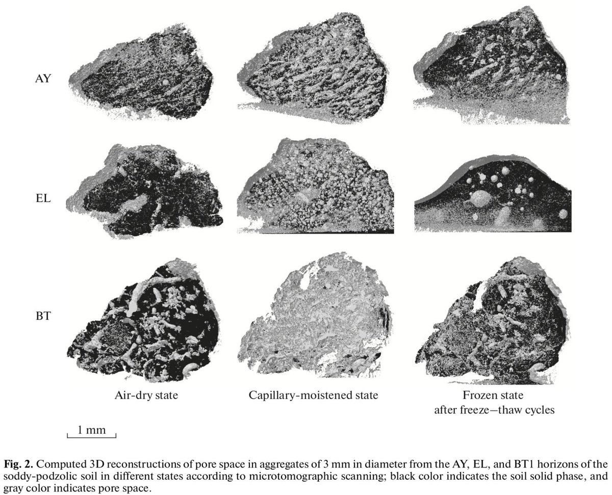 Good example that soil #aggregatestability depends on chemical composition: high C+medium Fe+medium clay in topsoil (0-15 cm) vs low C+low Fe+low clay in eluvial horizon (15-30 cm) vs low C+high Fe+high clay in undersoil (50-80 cm). Pic. from our paper rdcu.be/bP66x