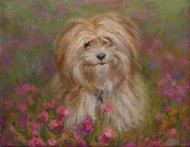 Gizmo is a professional photographer’s dog, that I painted using her photograph for reference.I approached her, got her permission to paint Gizmo as a collaborative effort to raise money for the  #spcaAgain, look at the FUR, that’s fun stuff to paint - I smile the entire time!