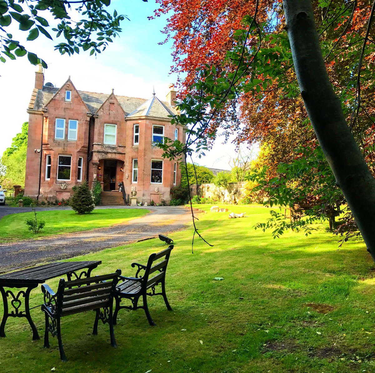HTreasureHouse's tweet photo. After a year of revamping the place we've finally got there!  Hidden Treasure House B&amp;B, horse B&amp;B, secret tearoom is open again.  Check out our website for upcoming events &amp; availability #horsebnb #scotland #galloway #tearoom #secrettearoom #bedandbreakfast #delicious #shoplocal https://t.co/4s3LtAmqYg
