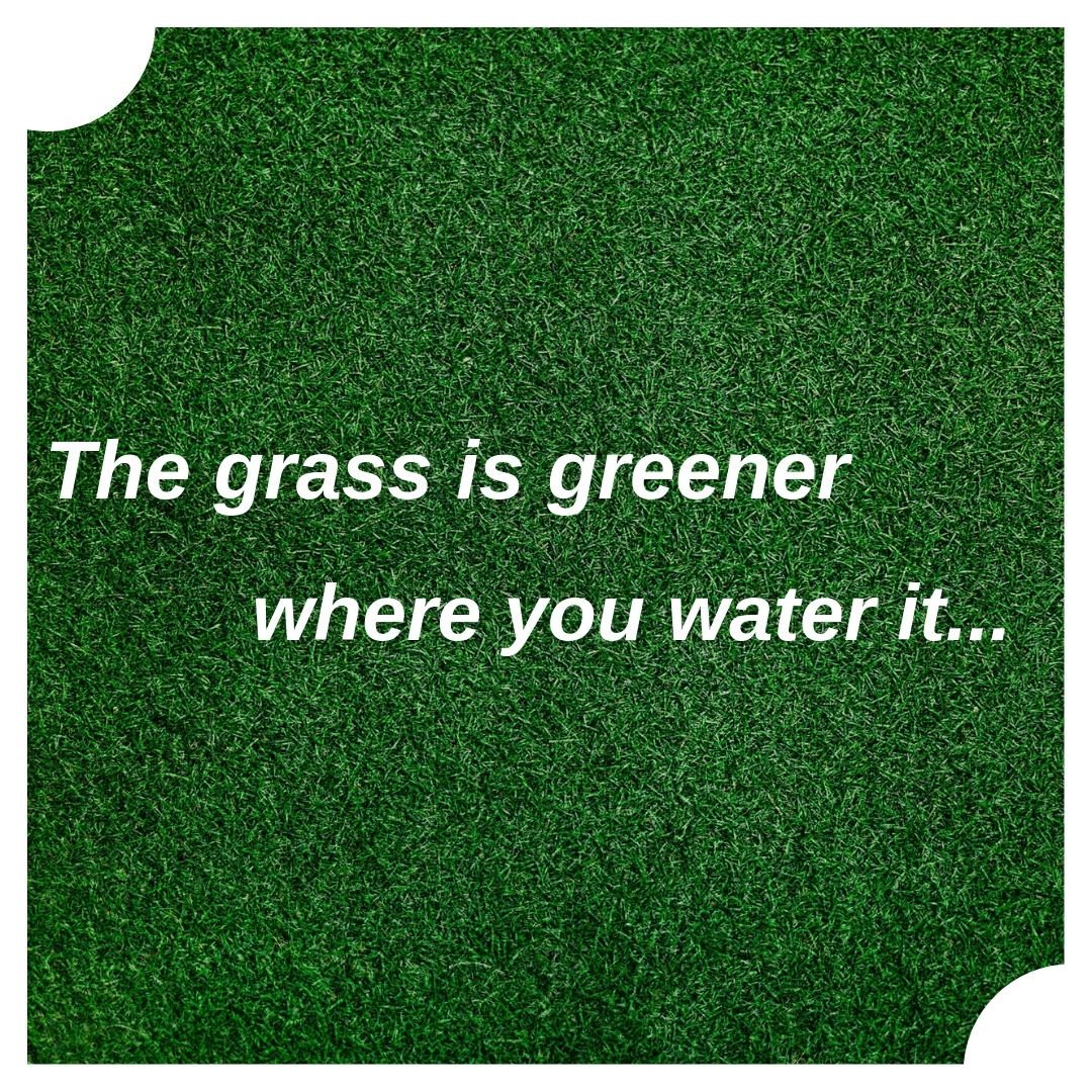 GreenBladeCare's tweet photo. 🌿Green is the prime color of the world🌎, and that from which its loveliness arises🏜
Comment"Yes" if you agree
Double tap😍
Share your valuable comments below👇

#grass #positivevibes #grassisgreener #nature #greenies #gogreen #naturebeauty #bestmoments #greeneyes #qotd https://t.co/Fbav61Ezh3