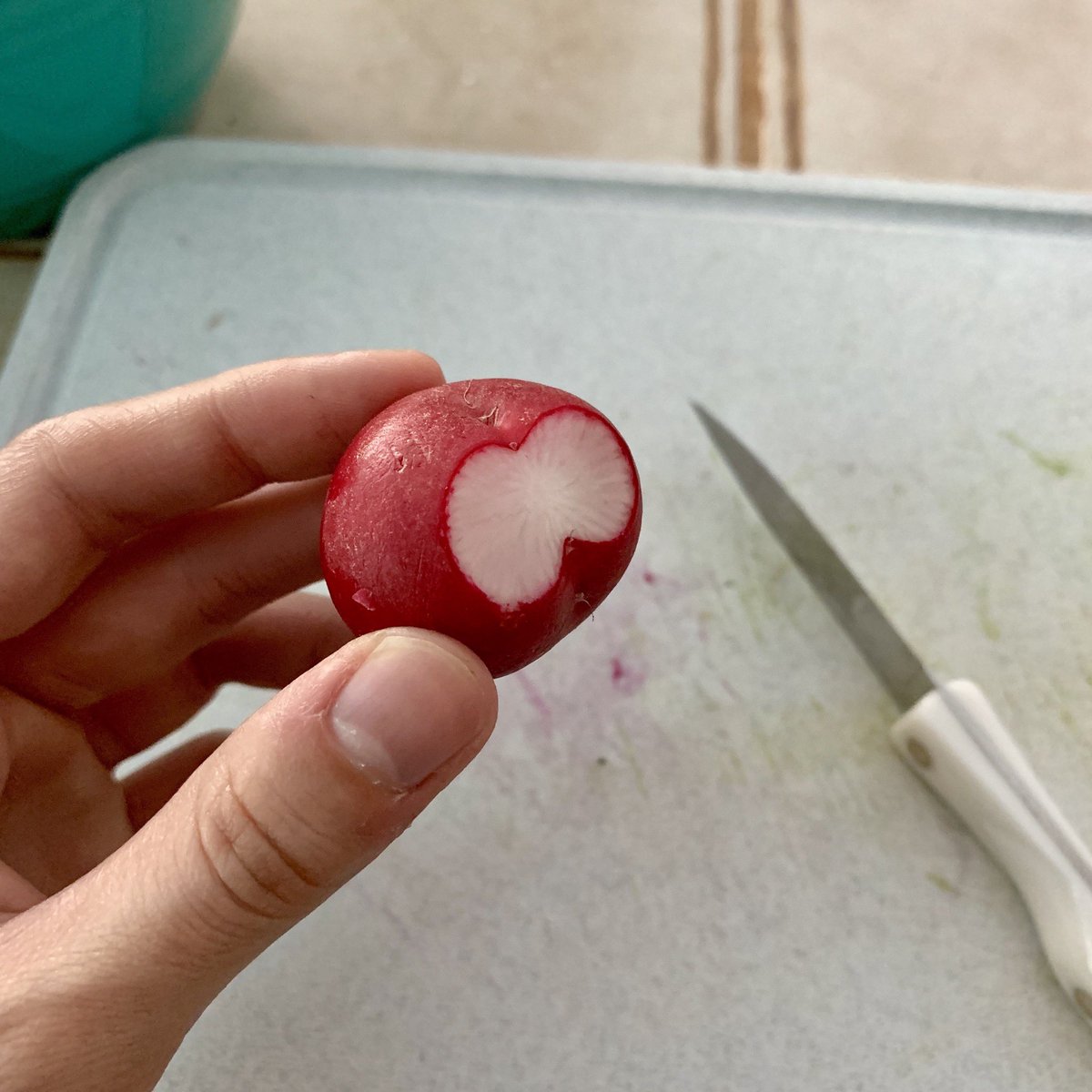 dat_datori's tweet photo. I’m starting a collection of veg I come across that looks like butts. https://t.co/08NCZND4KI