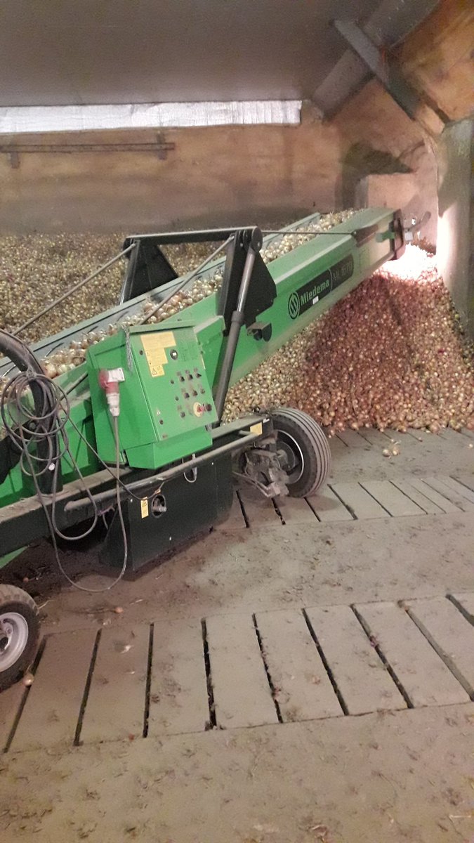 Huibert_Janse's tweet photo. Plantuien inschuren. #akker #toponions #agrifoto #miedema https://t.co/mOHjmrkI28