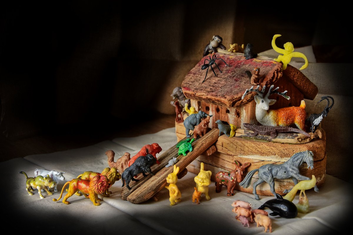 Plastic animals found on Cornish beaches.  #oceanplastic