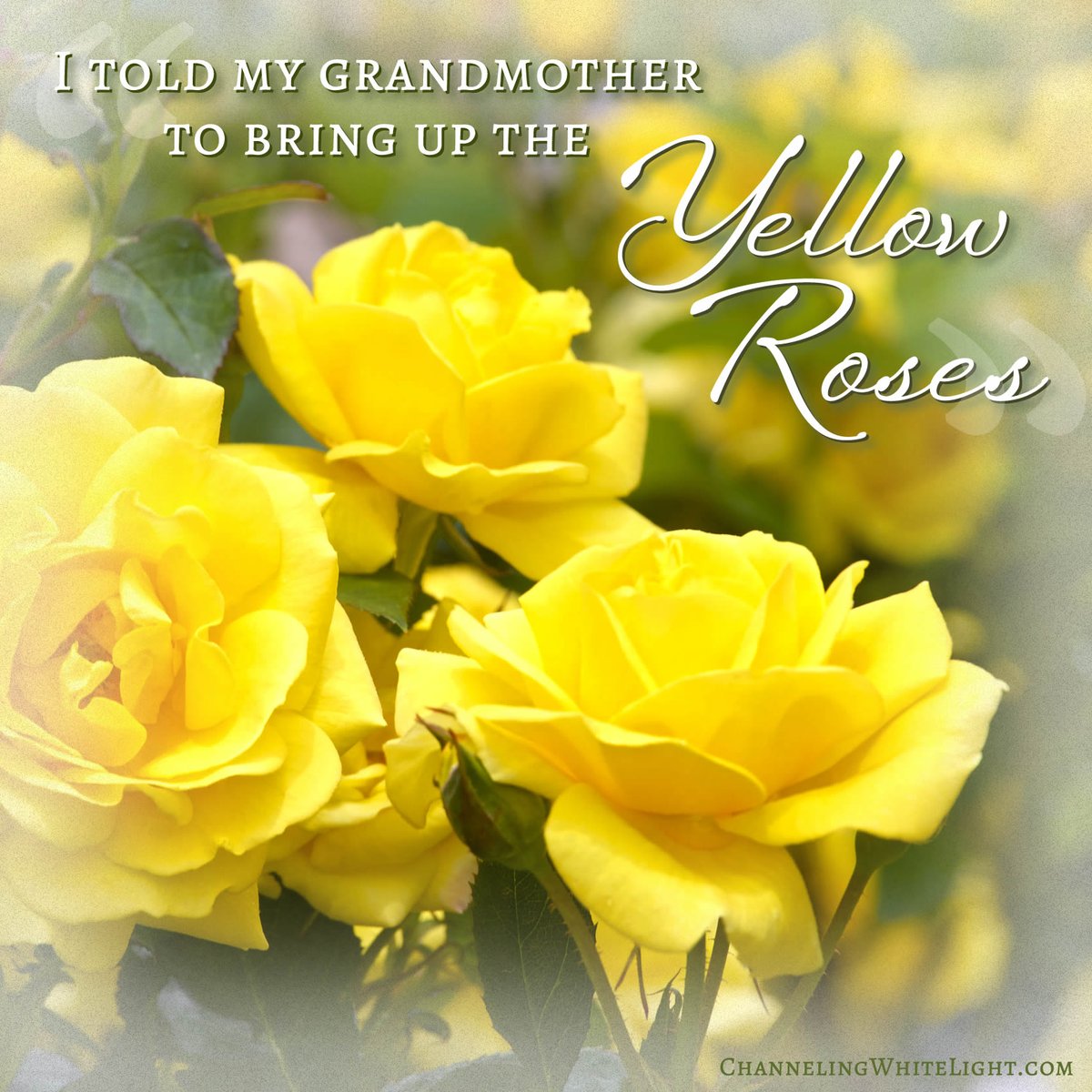 ChannelingWhite's tweet photo. I told my #channeling client I was picking up on yellow roses. “Now, I believe!” she sobbed, then told a story on what it meant to her. “Also,” she said, “before I came to see you, I told my grandmother to bring up the yellow roses.” #PsychicTest #SpiritMedium #EvidentialMedium https://t.co/lKI3pWYV43