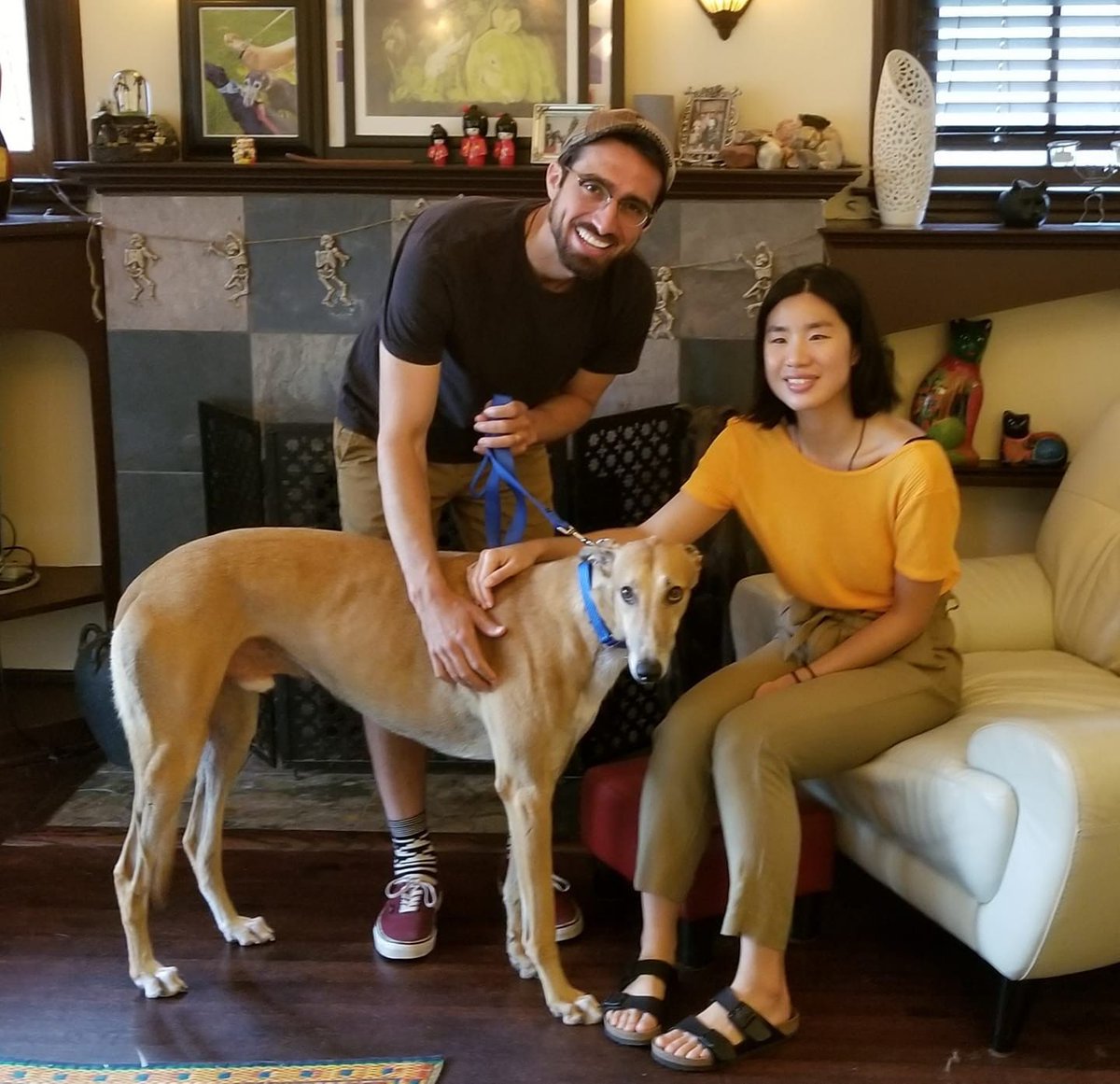 GaltxOrg's tweet image. 🎊 Congrats to Dave, now Zoro, and his new family! He is forever home with little dog sister Dakota and two kitties. #greyhounds #adopted
