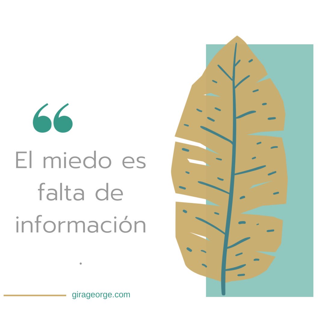 Gira_George's tweet photo. Leí que “el miedo es una reacción en cadena, en la que tu cerebro te prepara para huir de una situación peligrosa o poco deseable”.
•
Puede ser, me parece acertada. Pero para MI y para fines de mis sesiones, el miedo no es más que falta de formación!
•
#businessmom  #sinmiedos https://t.co/49JVwKuWQJ