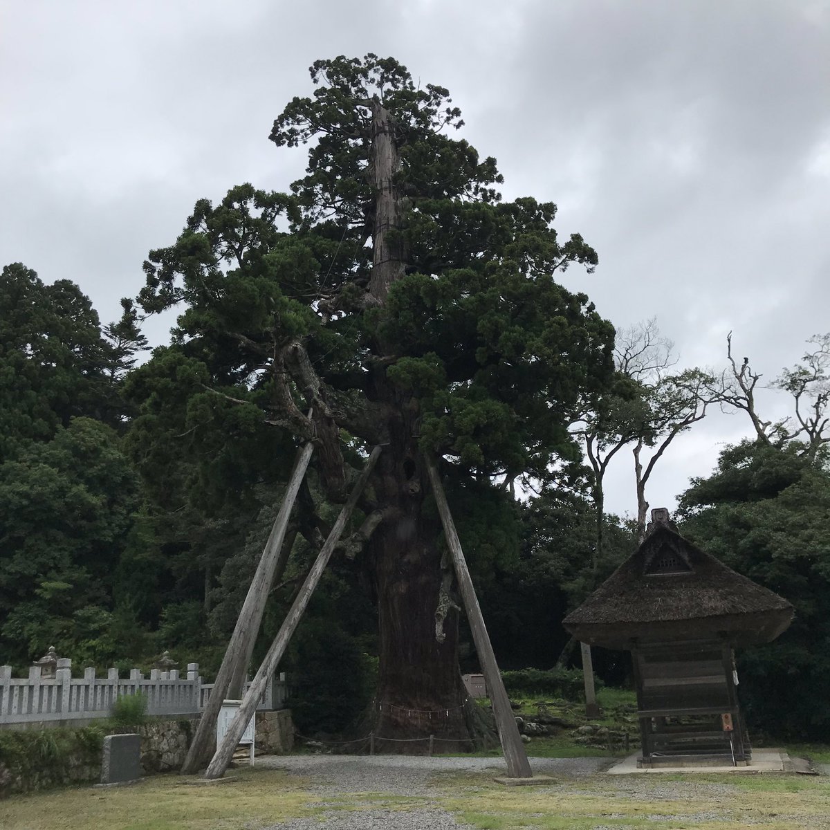 odekakezuki's tweet photo. 玉若酢命神社
隠岐国総社です。
一泊2日での巡礼の旅です。 https://t.co/ztajkpf8qI