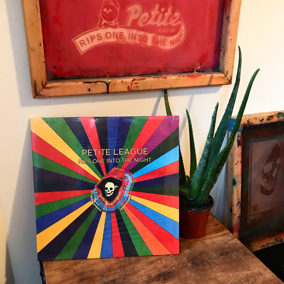 petite league slammers tweet media