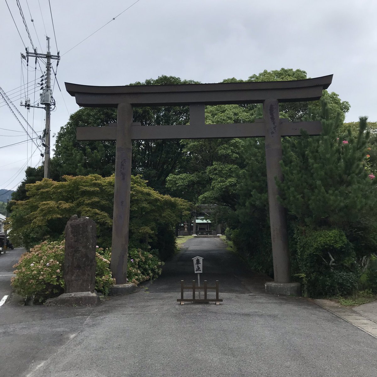 odekakezuki's tweet photo. 水若酢神社
隠岐国一の宮
宿泊先の隠岐ビューポートホテル前からバスに乗って約40分。静かな佇まいで厳かな雰囲気がありました。 https://t.co/ooidV3MVJL