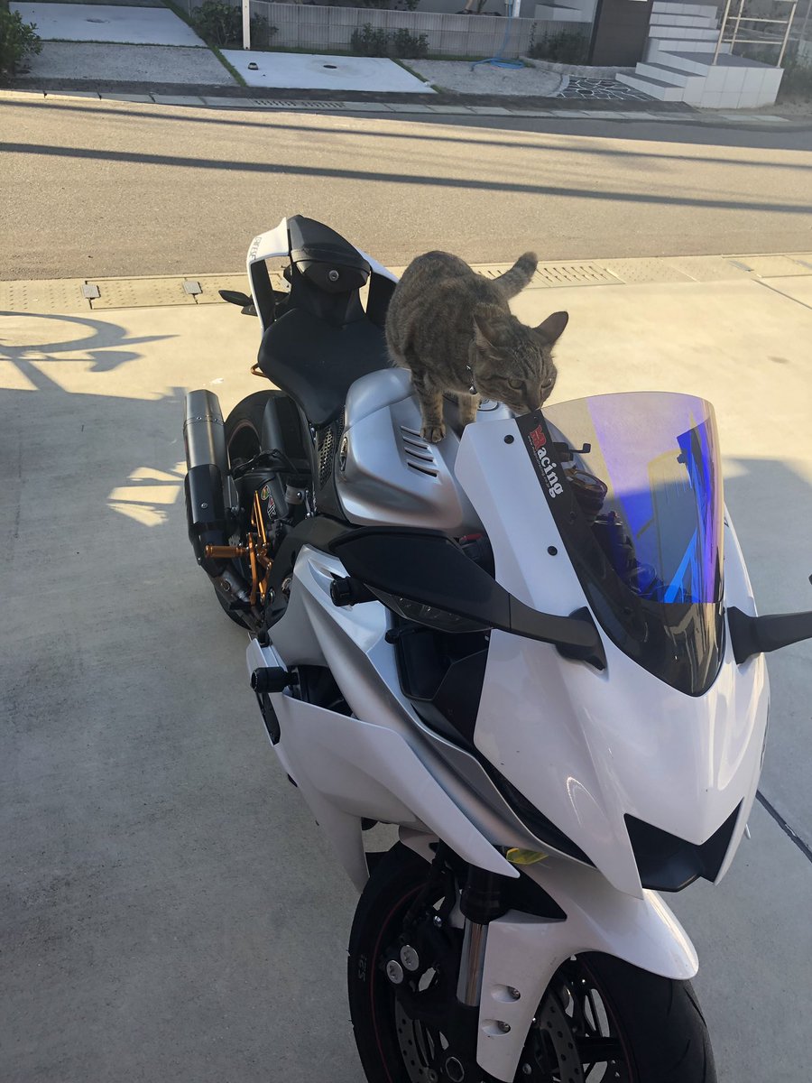 テャン タクミ お客様 困ります あーっ いけません お客様 あーー Yamahaが美しい ニャマハ