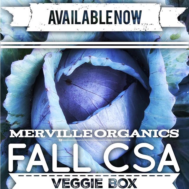 Merville Organics tweet media