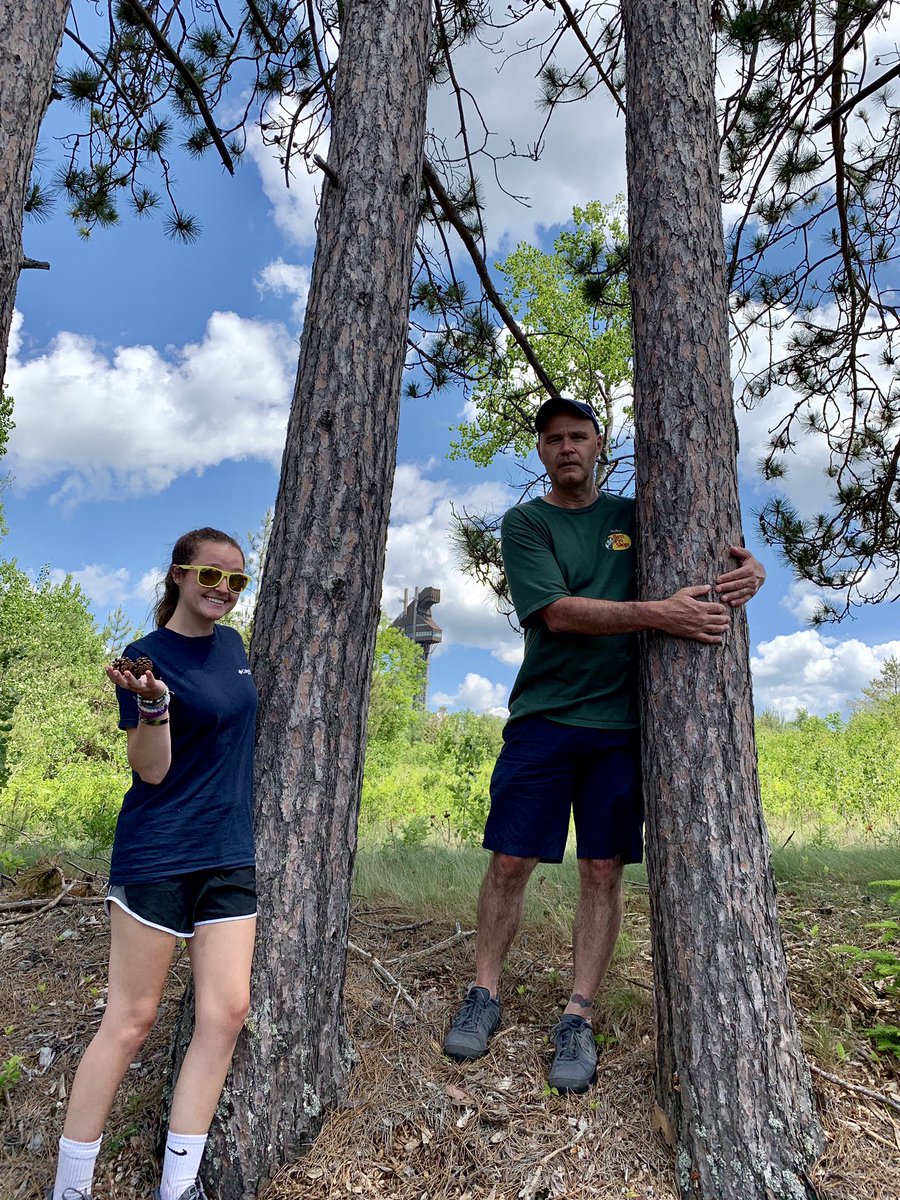 JNelZee's tweet photo. #GreatAdirondackLifeChallenge

White Pine https://t.co/qavhMjCJKV