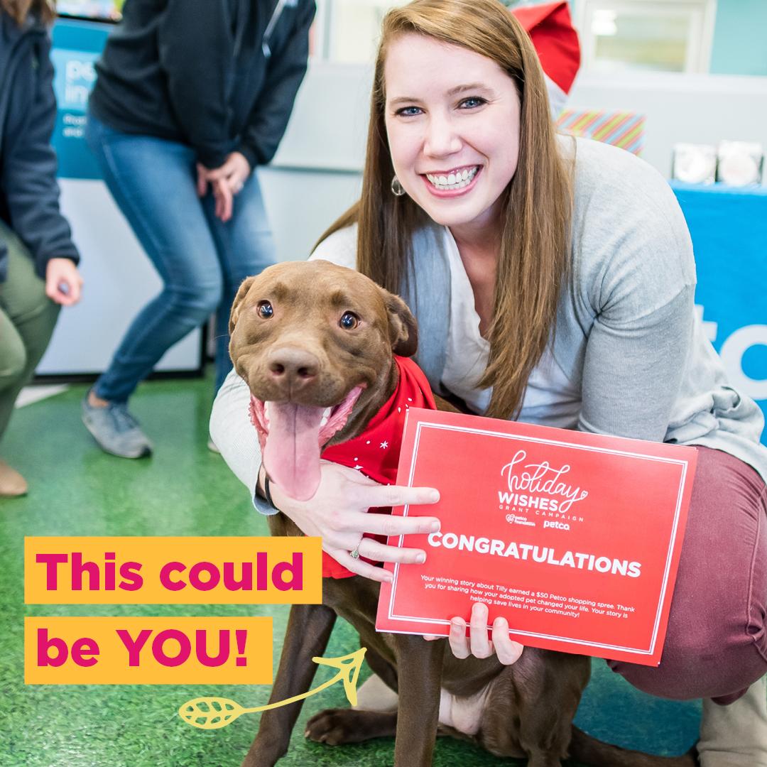 jaxhumane's tweet photo. If you adopted your pet from JHS, be sure to share your story at https://t.co/VJHV70VVuL by 9/23! You could help us win a @petcofoundation grant of up to $100k along with a shopping spree for your pet and @BOBS_Skechers shoes. #holidaywishes #jaxhumane https://t.co/CQzu4bx8vs