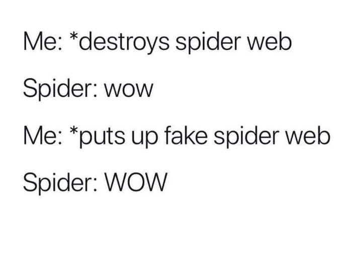 TW Pornstars - Molly Montana. Pictures and videos from Twitter. Page 8