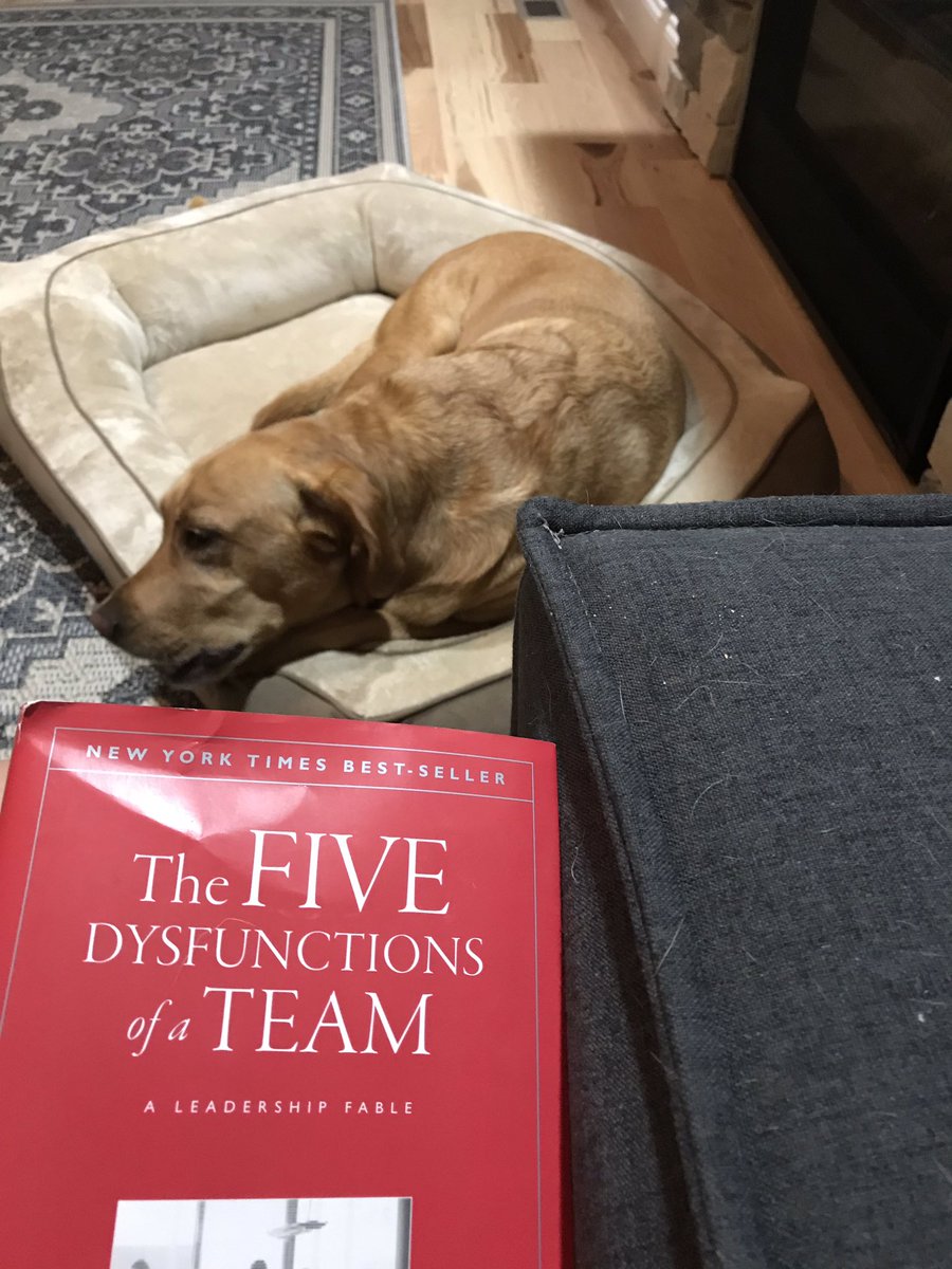 Alisa Goler tweet media