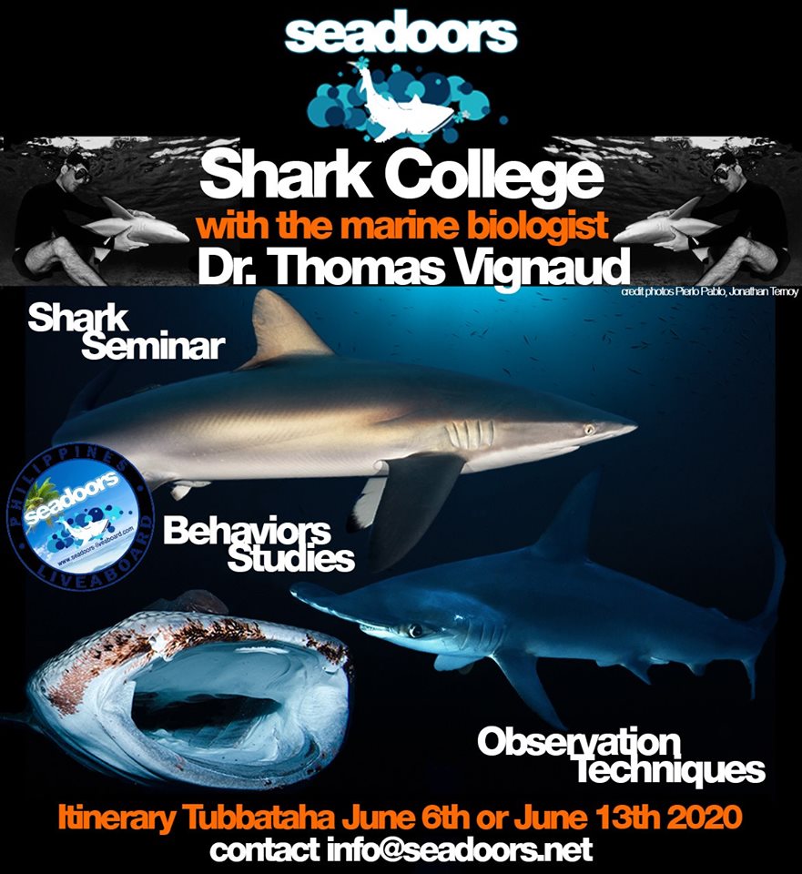 seadoorsLA's tweet photo. Le succès de Seadoors Shark College avec le Dr. Thomas Vignaud - https://t.co/ix6QNJ8sMw https://t.co/kJMXgNfuMI