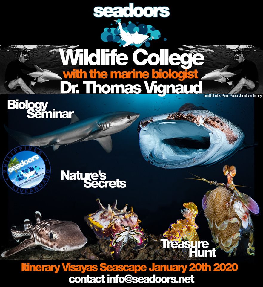 seadoorsLA's tweet photo. Le succès de Seadoors Shark College avec le Dr. Thomas Vignaud - https://t.co/ix6QNJ8sMw https://t.co/kJMXgNfuMI