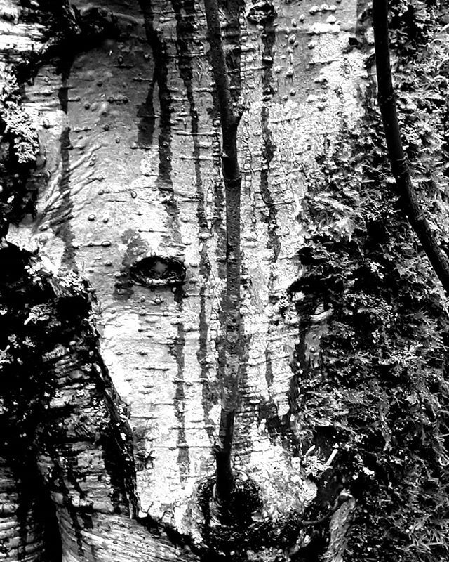 Ron Smid tweet media