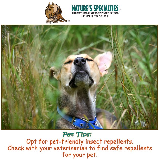 See our Products: naturesspecialtiesmfg.com 
#NaturesSpecialties #PetProducts #PetCare #Pets #PetSupplies #Groomers #PetFacts #FunFacts #PetTips