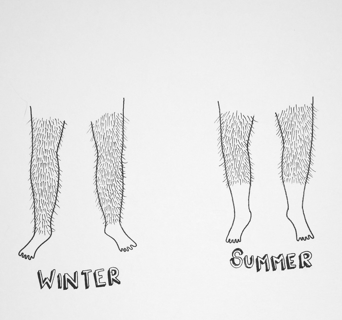 I'm back on the old tweety. Here is my very real and true representation of my legs through the season's.......true story 😂 I hope everyone is doing well! #illustration #artist #bodyhairdontcare #bodypositivty