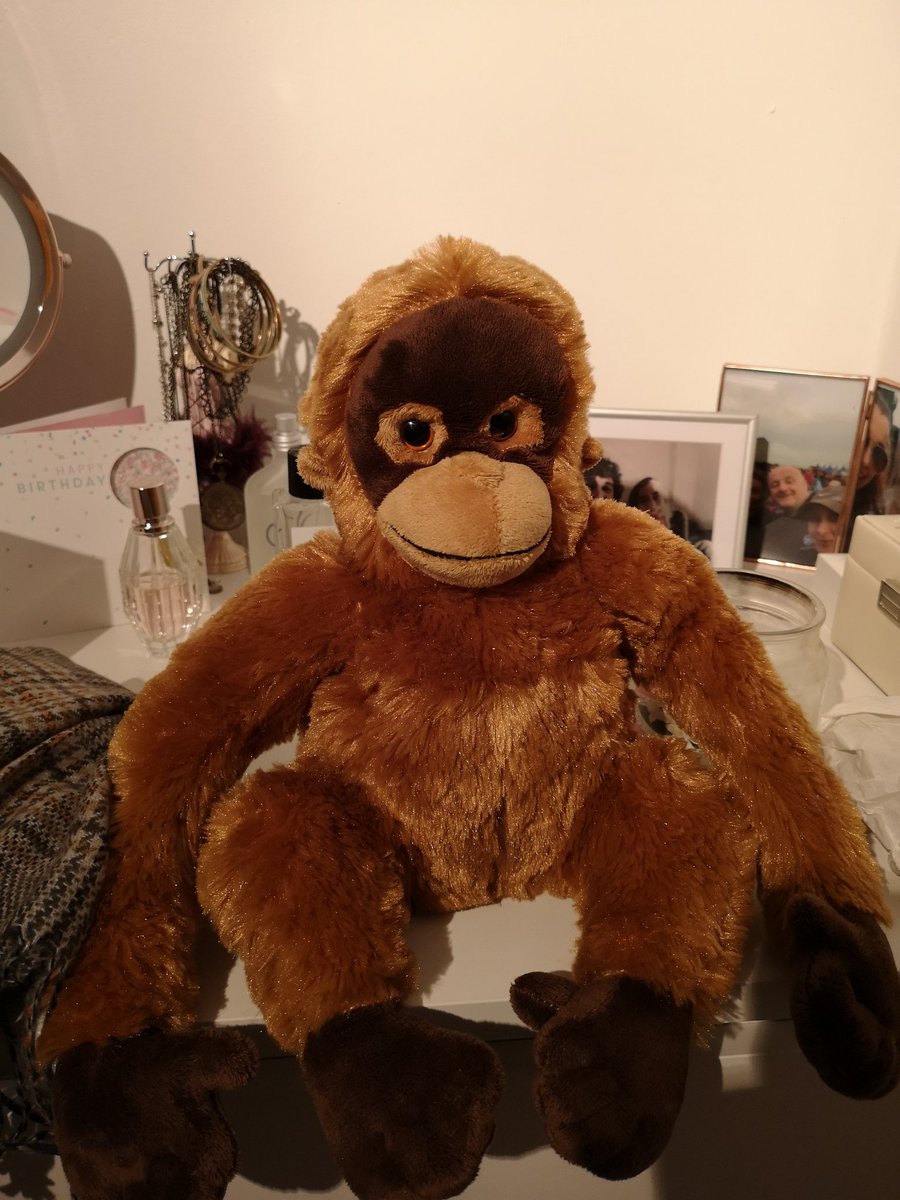 Arabeccka's tweet photo. Other girls: "omg my bf got me flowers 🙊😭"

Me: "OMG MY BF GOT ME AN ORANGUTAN WHEN HE WENT TO THE ZOO 😍❤️" https://t.co/MBDgNw6Aa4