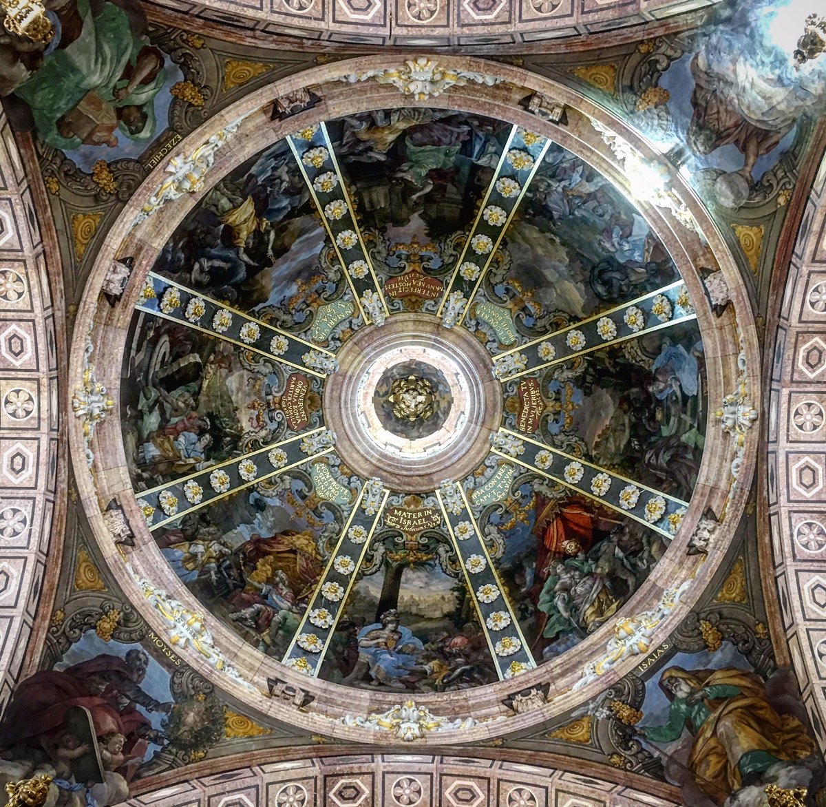 ERoigM's tweet image. #Cinta2019 Cúpula de la Capella de la Cinta • Catedral de Santa Maria de #Tortosa #Patrimoni #Barroc #Devoció #Igers #Igersebre #IgersTortosa #igerscatalunya #igersspain #ebrebiosfera #festesdelacinta