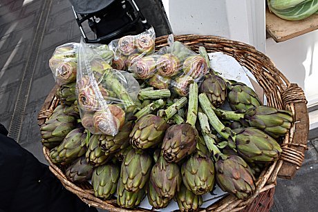 𝓩𝓪𝓾𝓫𝓮𝓻 巨大なアザミ アーティチョークの花です アーティチョークはヨーロッパなどでよく見られる つぼみを食べる野菜です V 野菜の花 アーティチョーク Flowers Of Vegetables