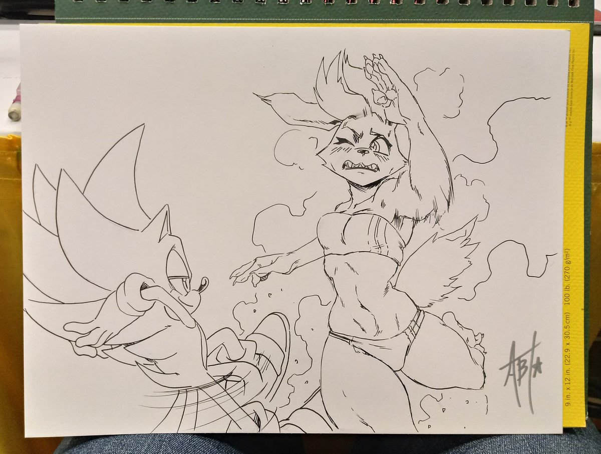 Quick commission for @Starhound 
#furry #SonicTheHedgehog 