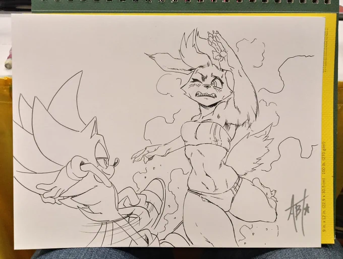 Quick commission for @Starhound 
#furry #SonicTheHedgehog 
