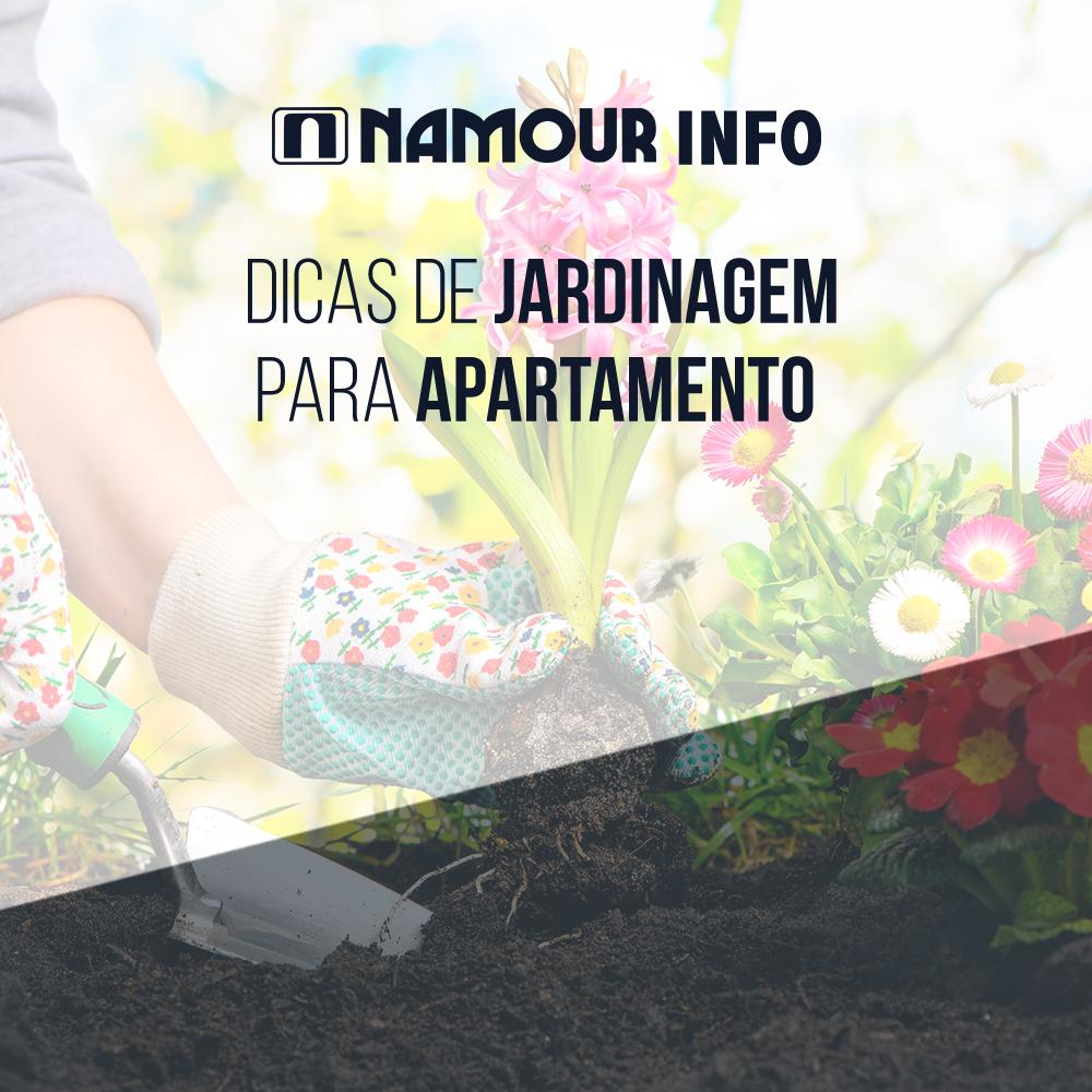 namourweb's tweet photo. Que tal dicas de jardinagem para deixar seu apartamento ainda mais bonito? Confira no nosso Pinterest várias ideias para você se inspirar! Acesse: https://t.co/ZnD4cVDv9Y https://t.co/qampsSCgRv