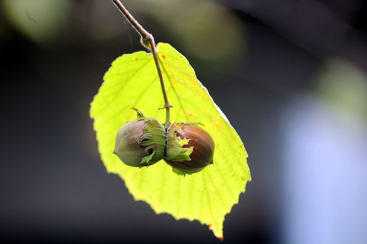 maype7's tweet photo. Hello dear Rich 
Happy new week &amp; monday 
#BeautifulSeptember friend https://t.co/oV5daCU6iA