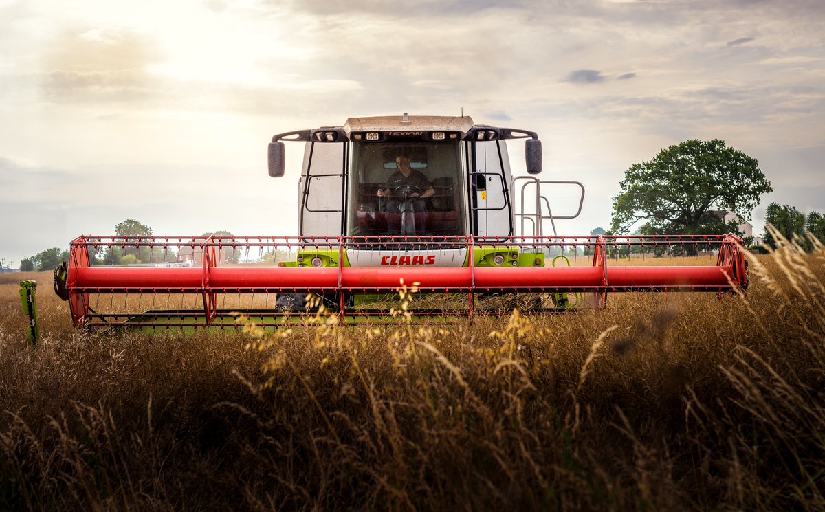 Harvest photography #harvest2019 #harvest #farming #photography