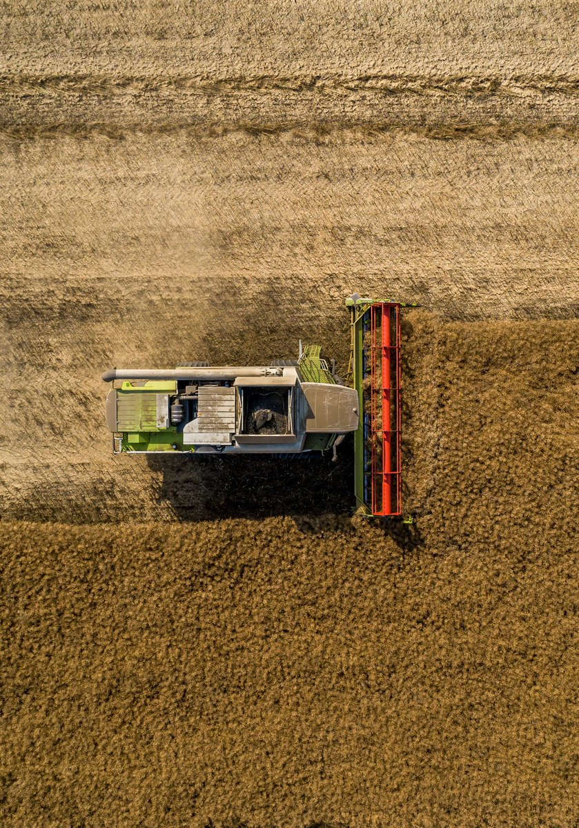 Harvest photography #harvest2019 #harvest #farming #photography #drone #phantom4pro #dronephotography