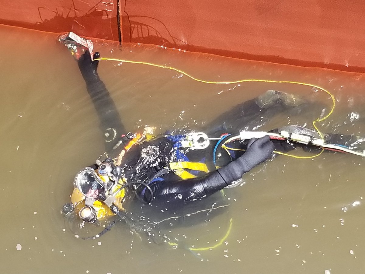 Lvl3Magicarp's tweet photo. After inspecting the hull of a container ship for 4 hours https://t.co/5emJvmOl2O