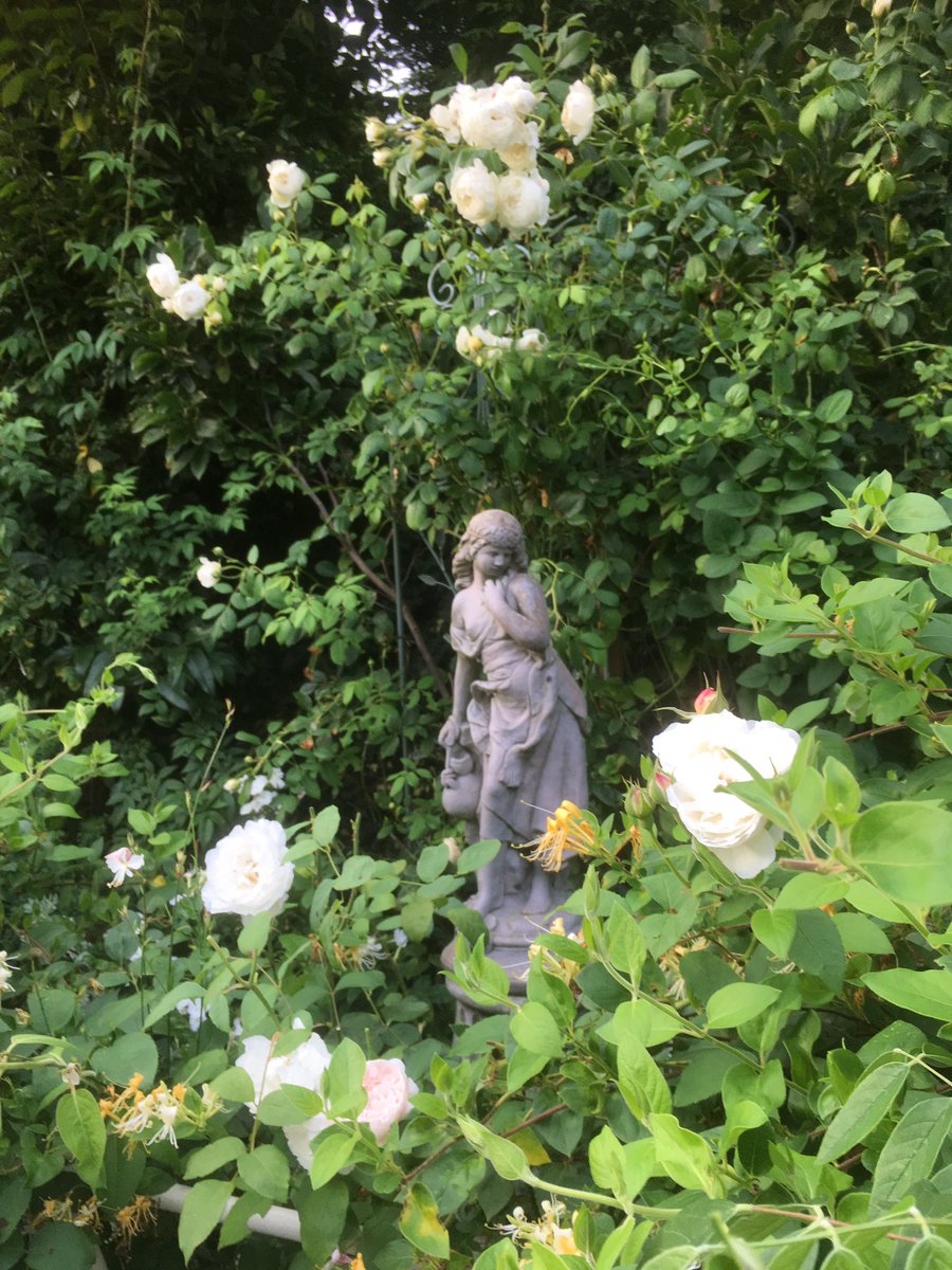 Milhart66Ken's tweet photo. That ‘bloomin Water Carrier again. #whiteborder https://t.co/P11tRzYHeU