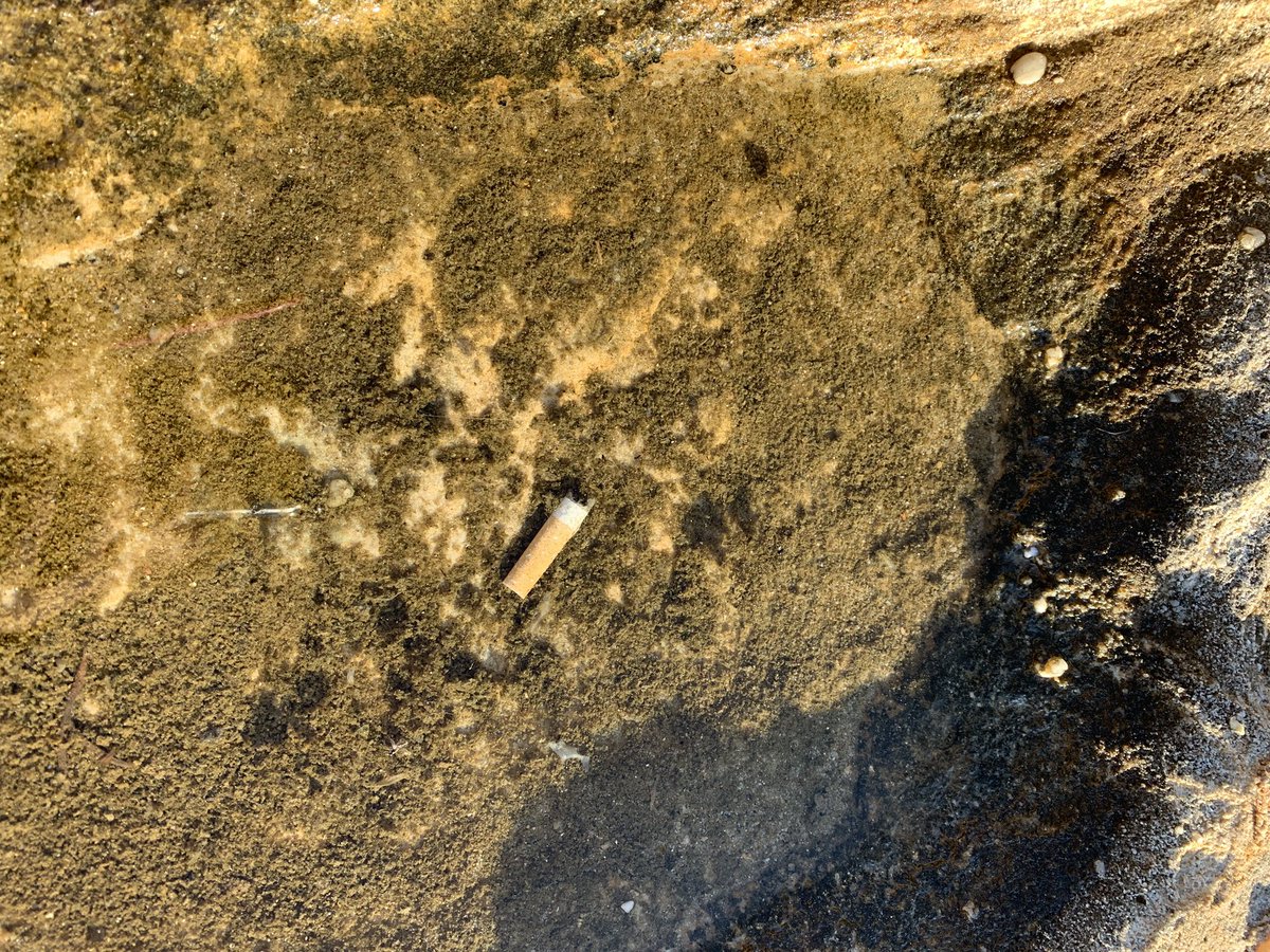 jennaunsw's tweet photo. Came across this cigarette butt in one of the upper tidal pools at Maroubra beach #sad😪 these break down into microplastics, which are so so bad for the environment!! Be responsible and dispose of your trash the proper way #marenvs19 https://t.co/7SvVmYkCPm