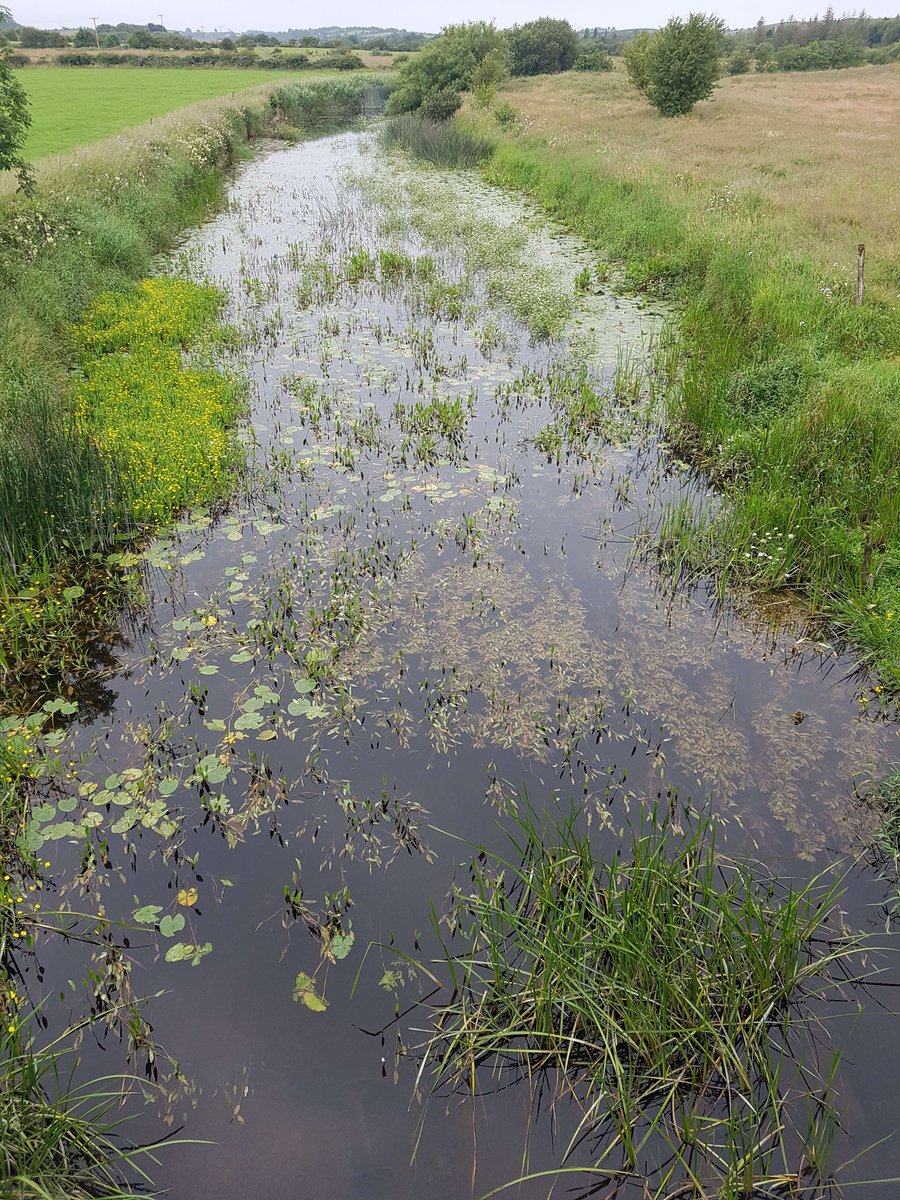 encyonopsis's tweet photo. Manulla River today and 6 weeks ago #SummersOverWhen https://t.co/9o9SgZefM6
