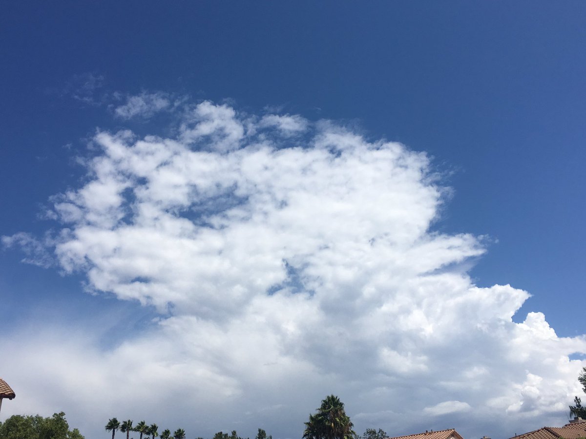 WeatherCurrents tweet picture