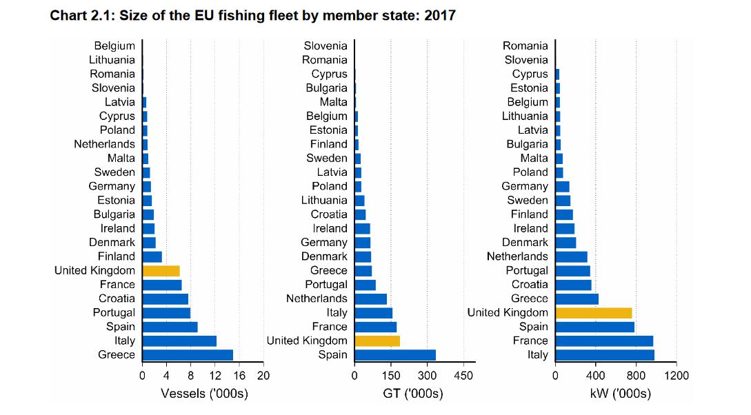 United By Blue Size Chart