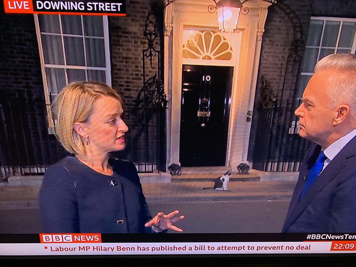 timaddicott's tweet photo. The dog has already kicked @Number10cat out of number 10..... #poorlarry https://t.co/237Du3IPkD