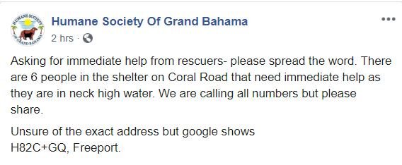 LorenzoTheCat's tweet photo. URGENT: people and animals are trapped at the Humane Society in Freeport, Bahamas.  Please spread the word.  #HurricaneDorain  #Freeport https://t.co/nYy3O9XYbj