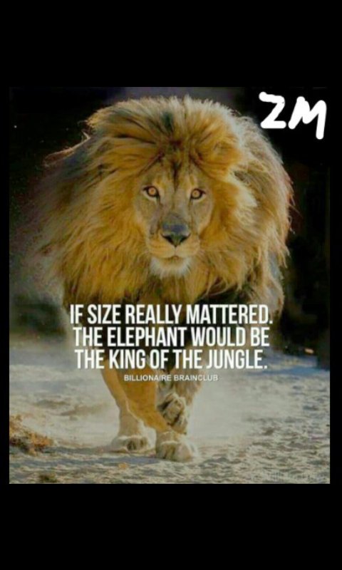 Zimele Mthembu tweet media