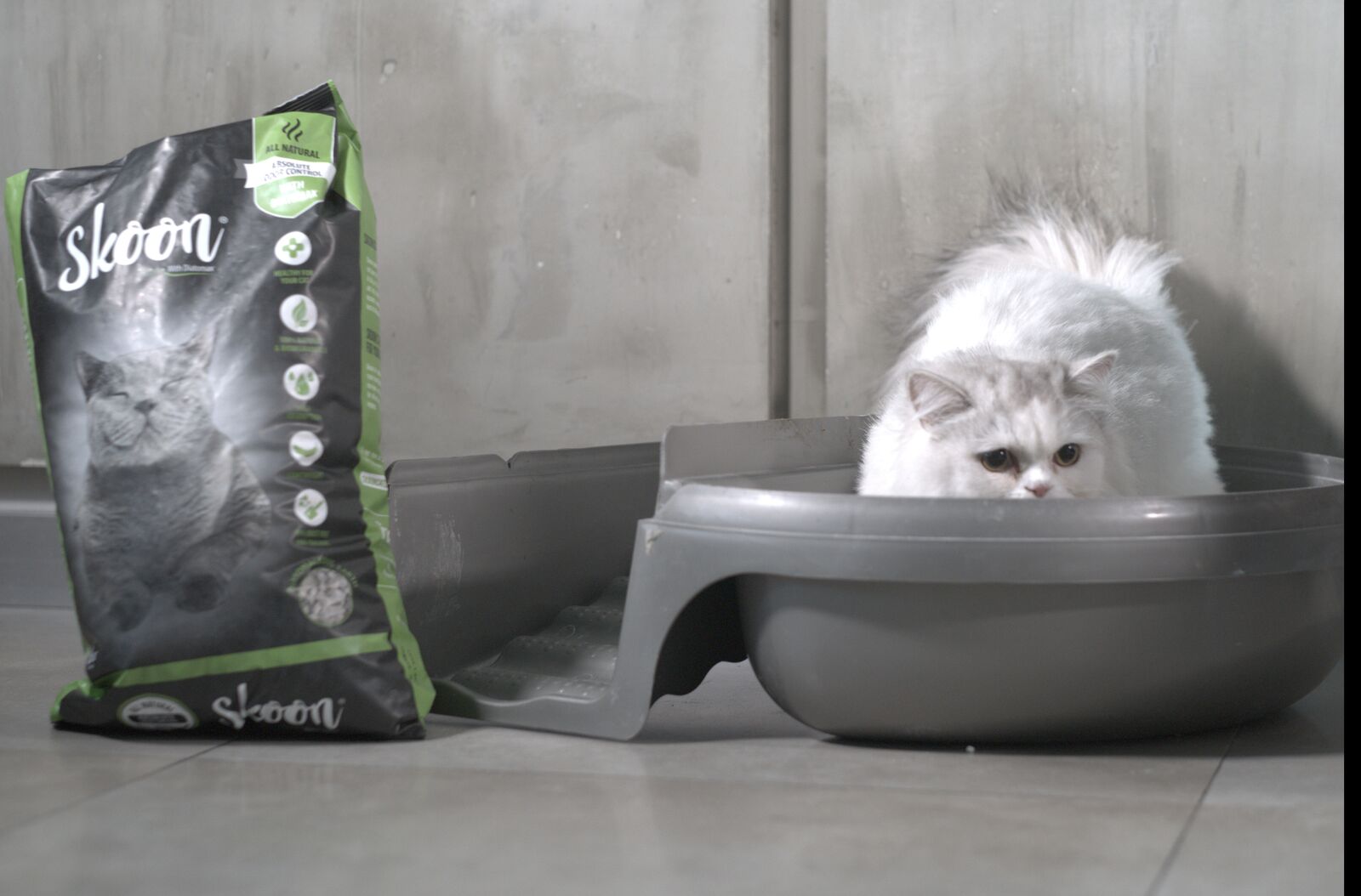 Skoon Cat Litter on Twitter "Yippie!! September is here! Happy Healthy