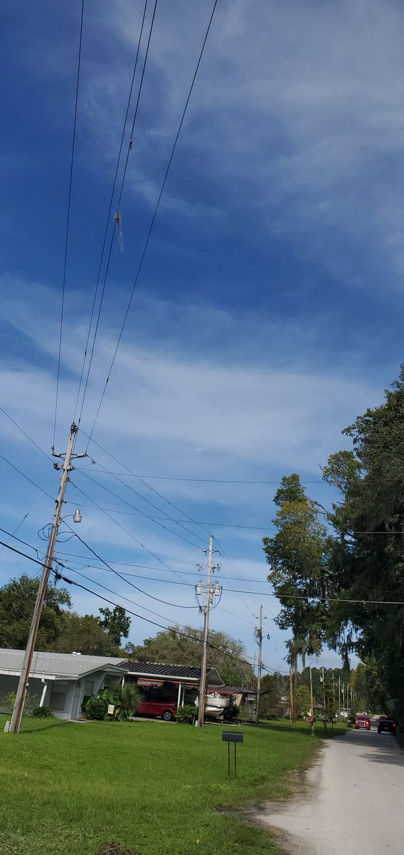 SSk1es's tweet photo. As of now the skies are blue. Storm should be moving in tomorrow and wednesday. It sucks just sitting here waiting. Any piggies wanna play? 😛 https://t.co/QnwFcycMnU