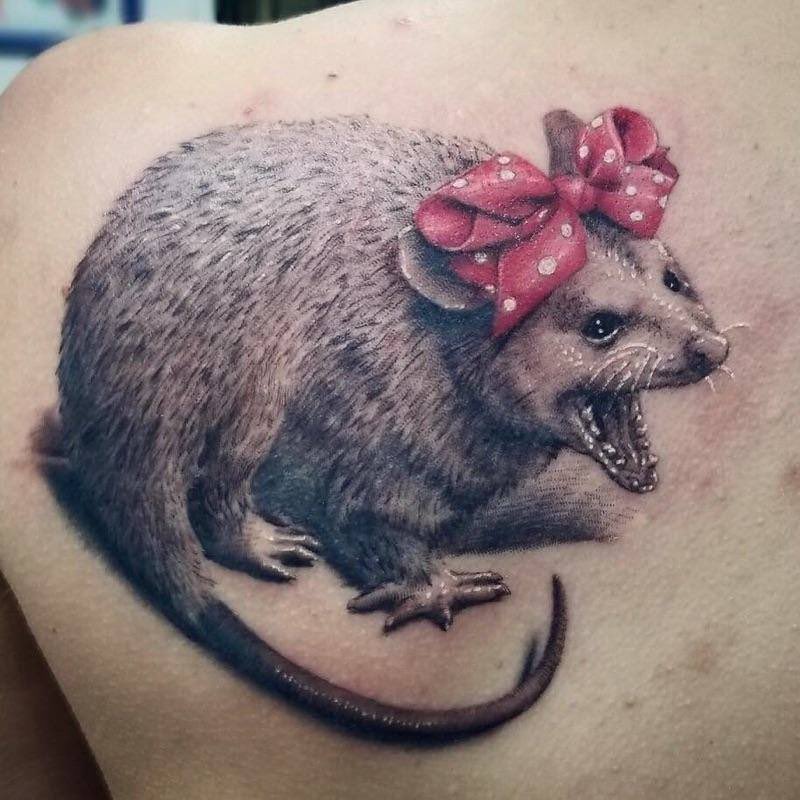 Share 65 possum tattoo designs best ineteachers #13 Share 65 possum tattoo designs best ineteachers