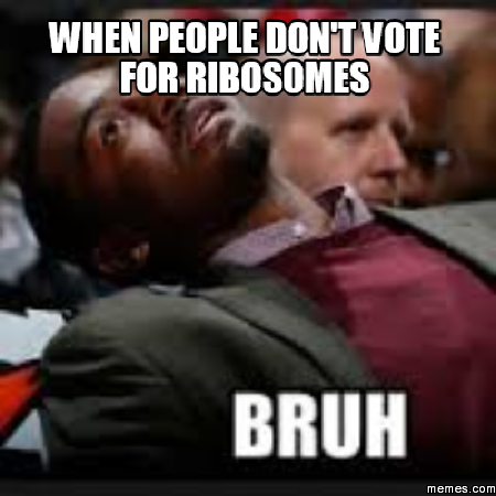 RobTheRibosome's tweet photo. #OrganelleVote2019 https://t.co/5k3KZFVoKf