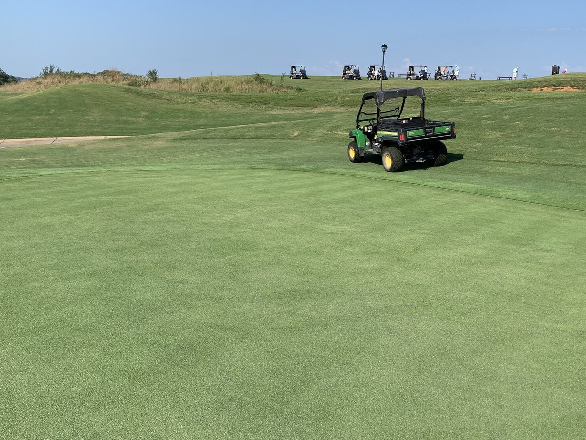 MichealJones52's tweet image. Almost ready.  Prizm Zoysia @ 10 weeks.