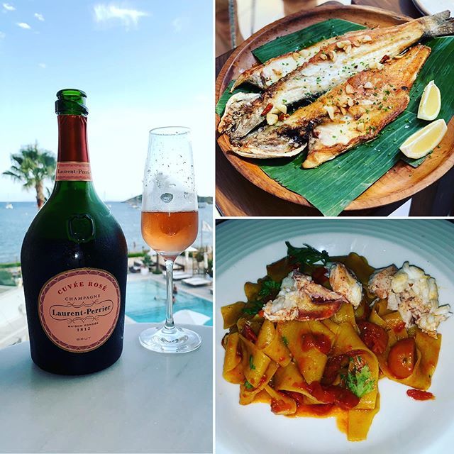 Dolin Malibu Estate tweet media