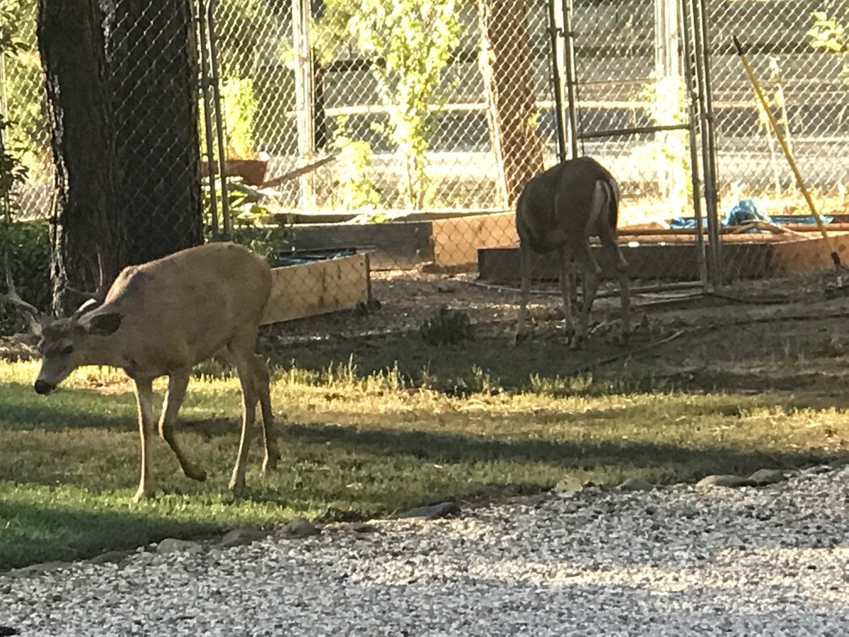 View from the front yard this weekend. Love the mountains