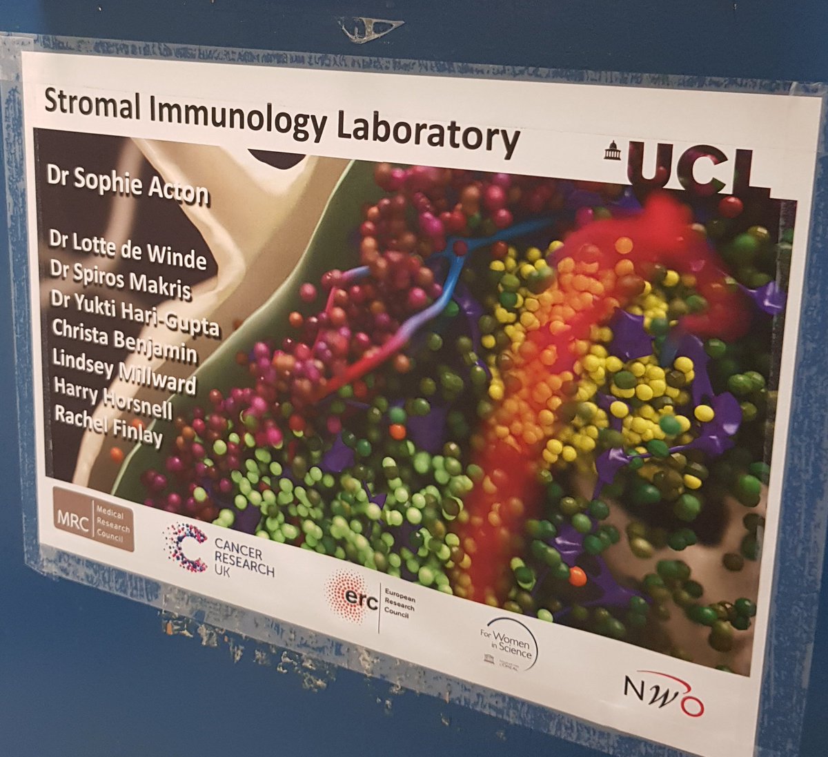 yuktihari's tweet photo. Started my new job @ActonLab @MRC_LMCB today. Busy but fun day! Looking forward to work with you all.. https://t.co/FOYgHCNgep